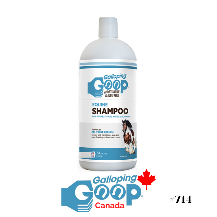 Shampoing Hi Silver