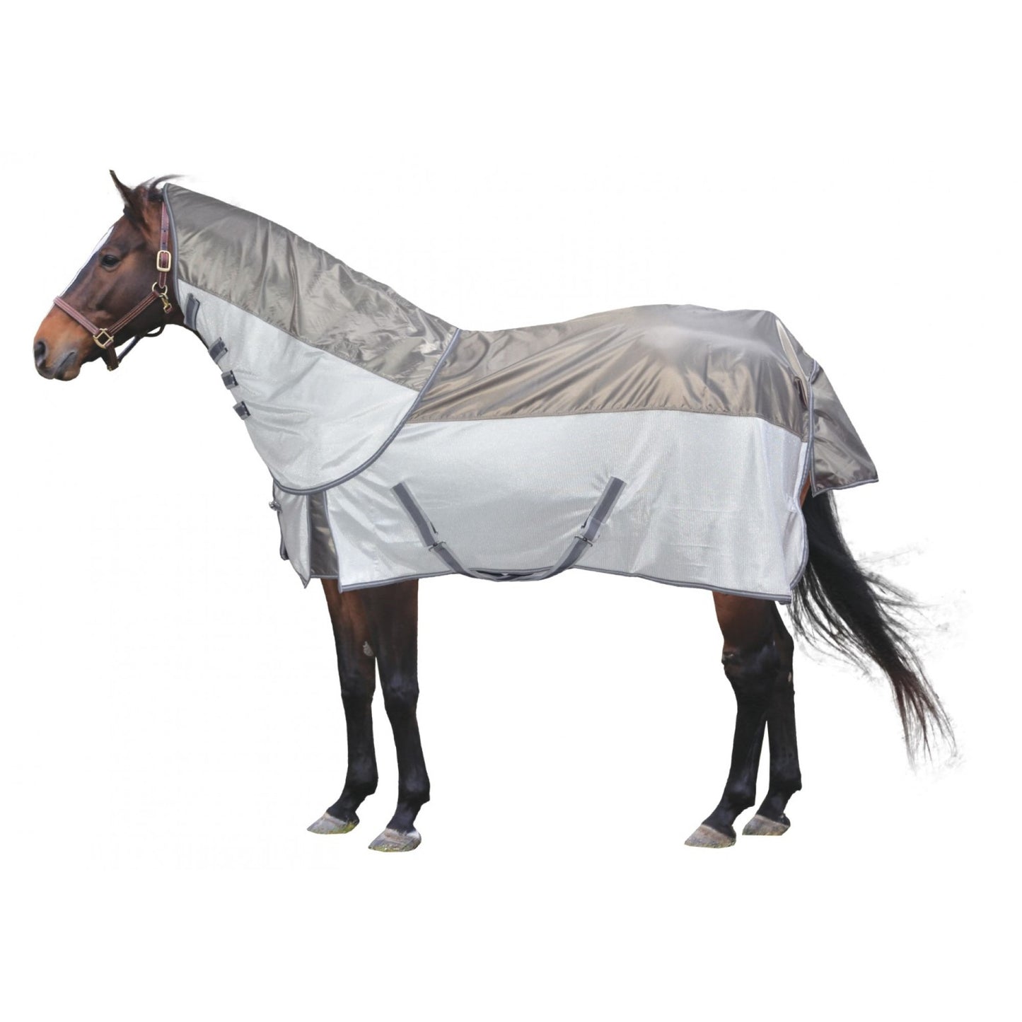 Century Fly/Rainsheet