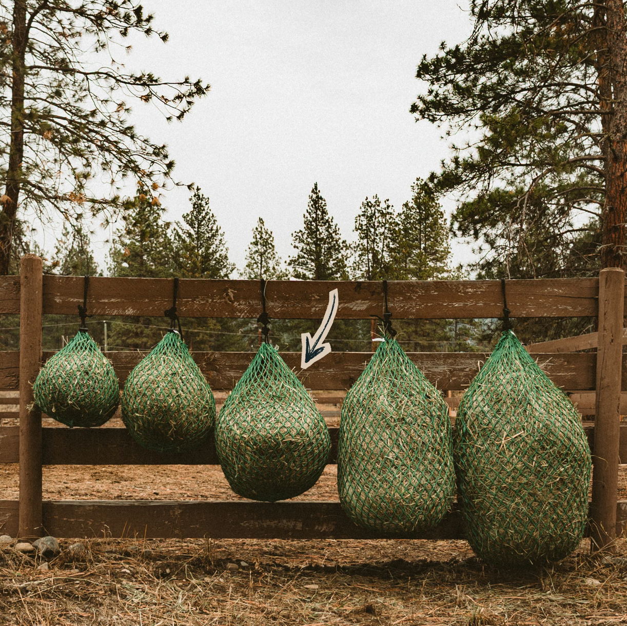Nag Bags - Hanging