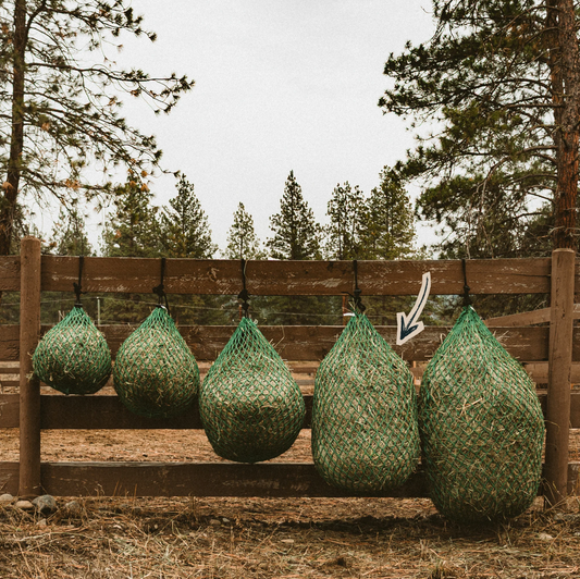 Nag Bags - Mid-day