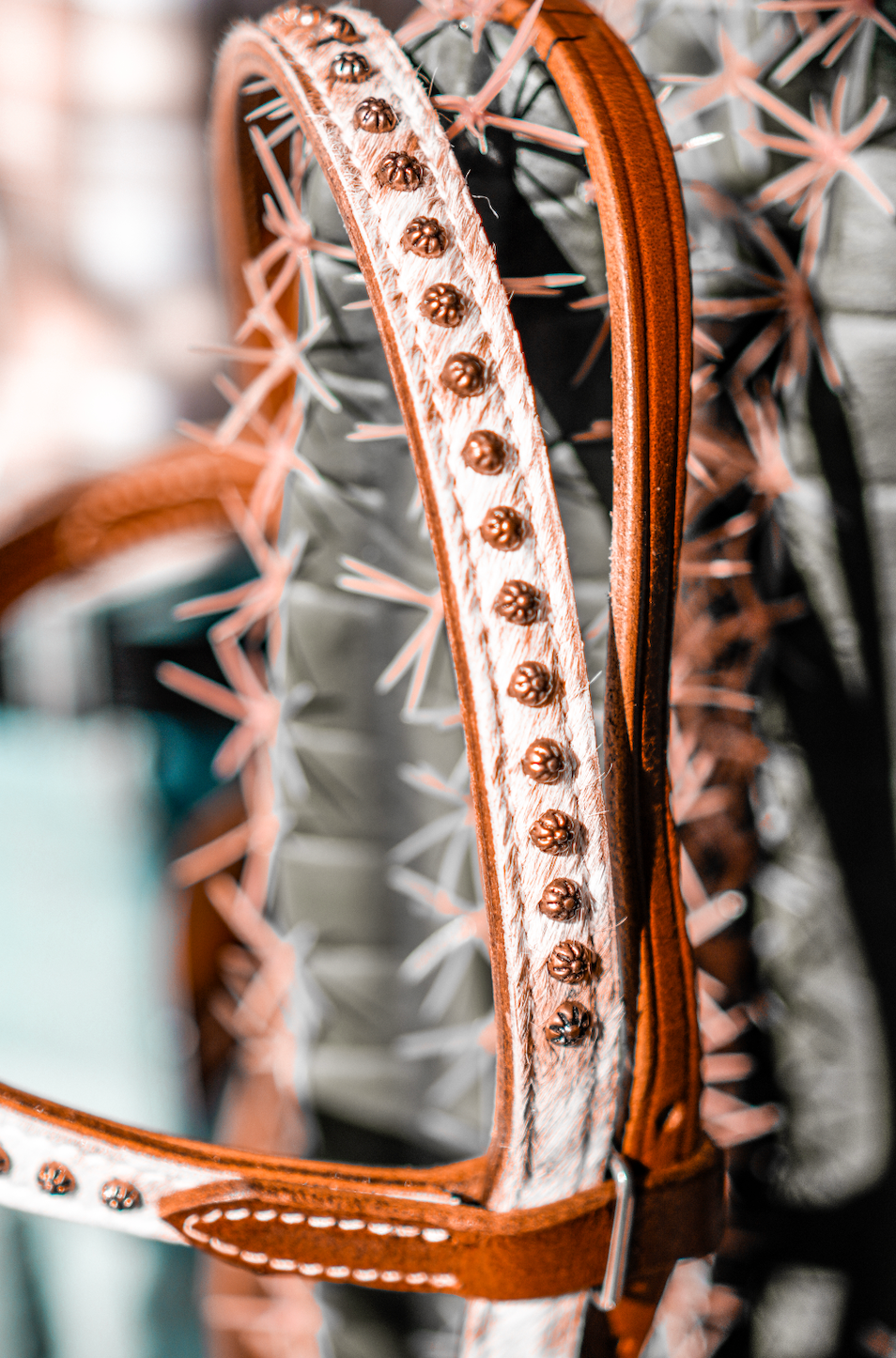 Bride frontale Country Legend Sundance Browband