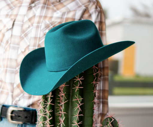 Chapeau Bullhide Kingman
