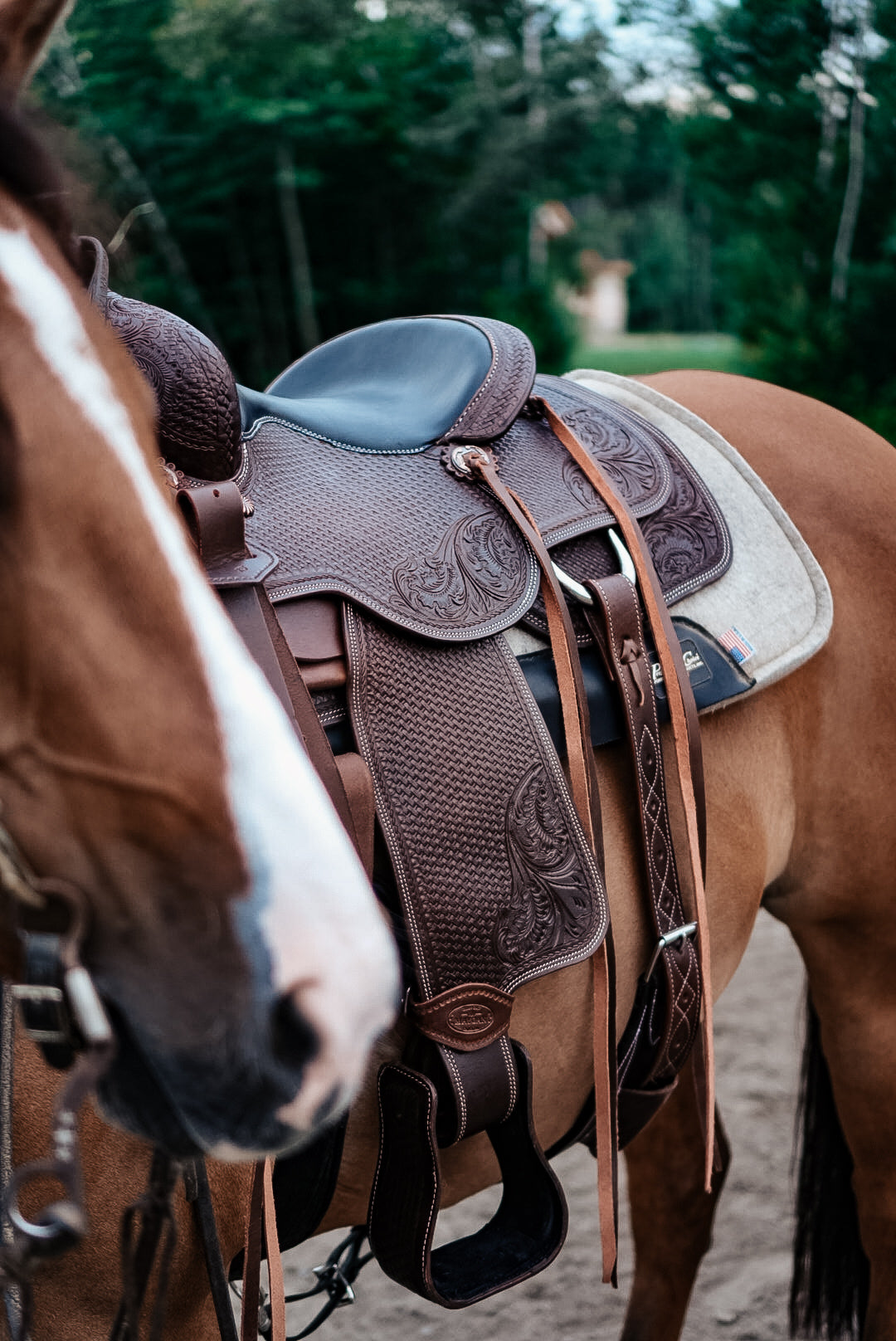 Selle de ranch all around Maygan