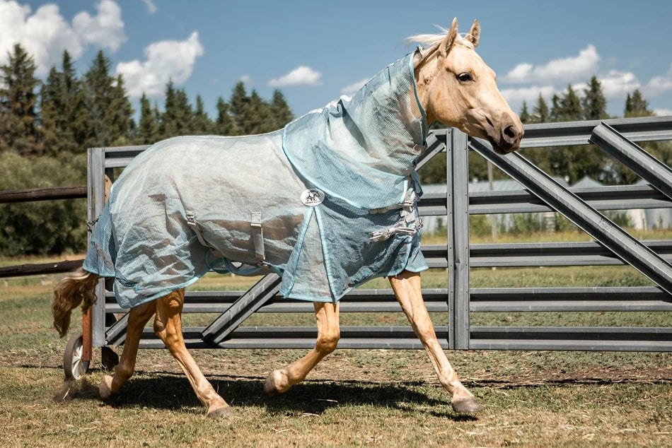Buzz Off Fly Sheet Alliance Equine
