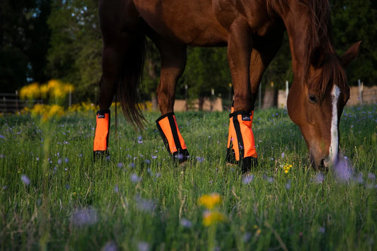 Warrior Fly Boots