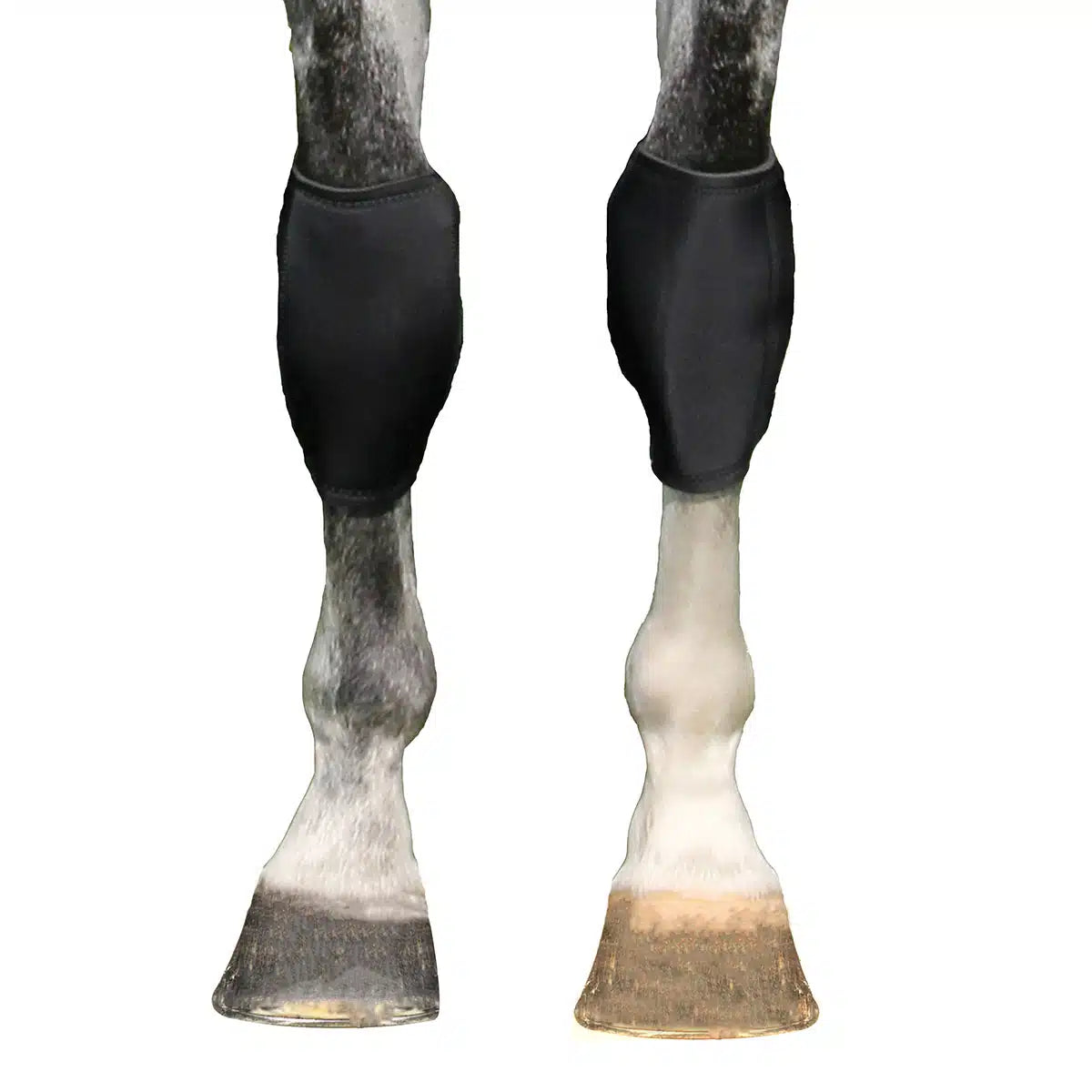Knee Boots pair BOT