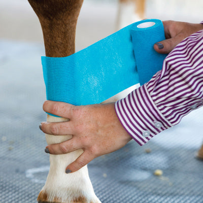 Quick Wrap Bandages Professional's Choice