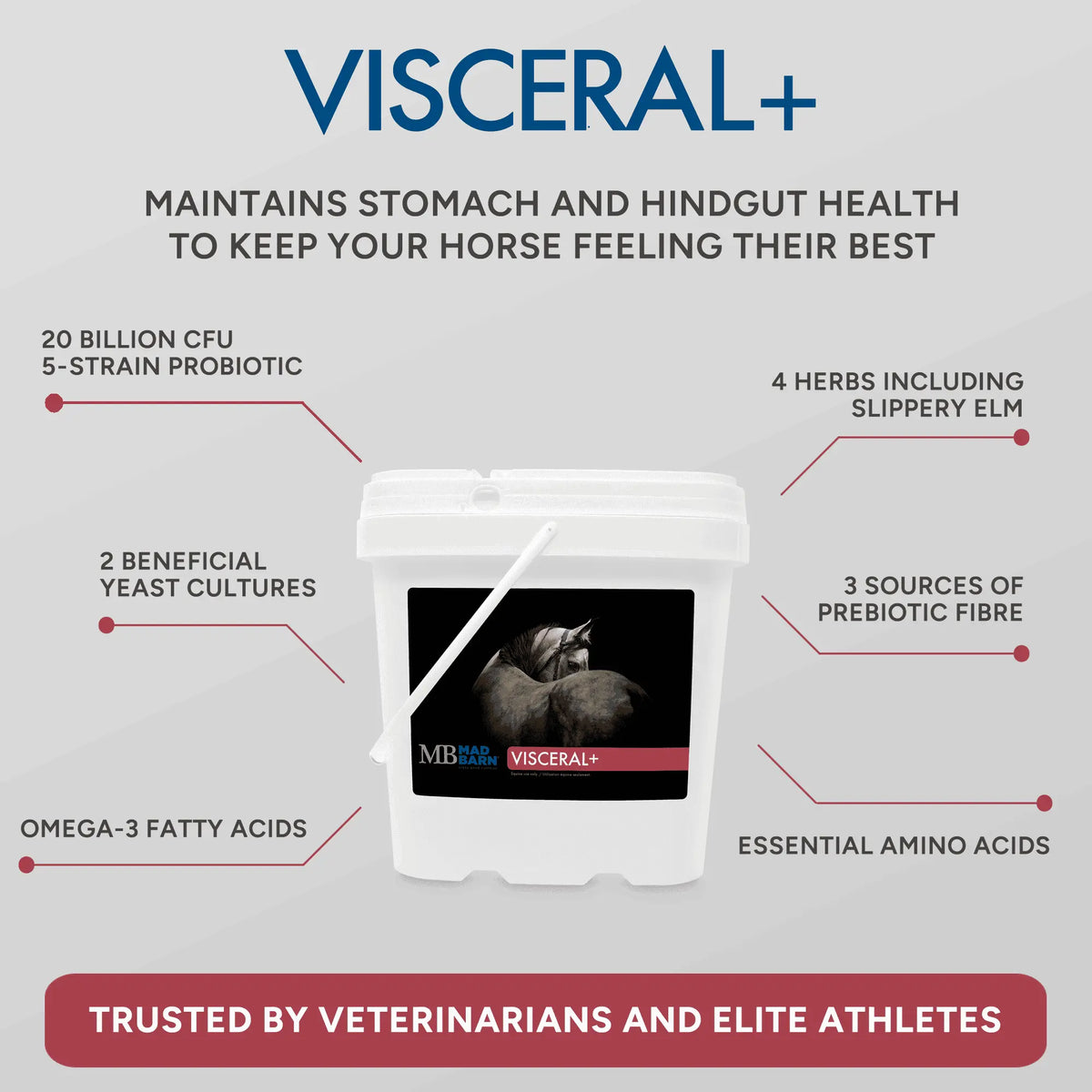 Visceral+ MadBarn