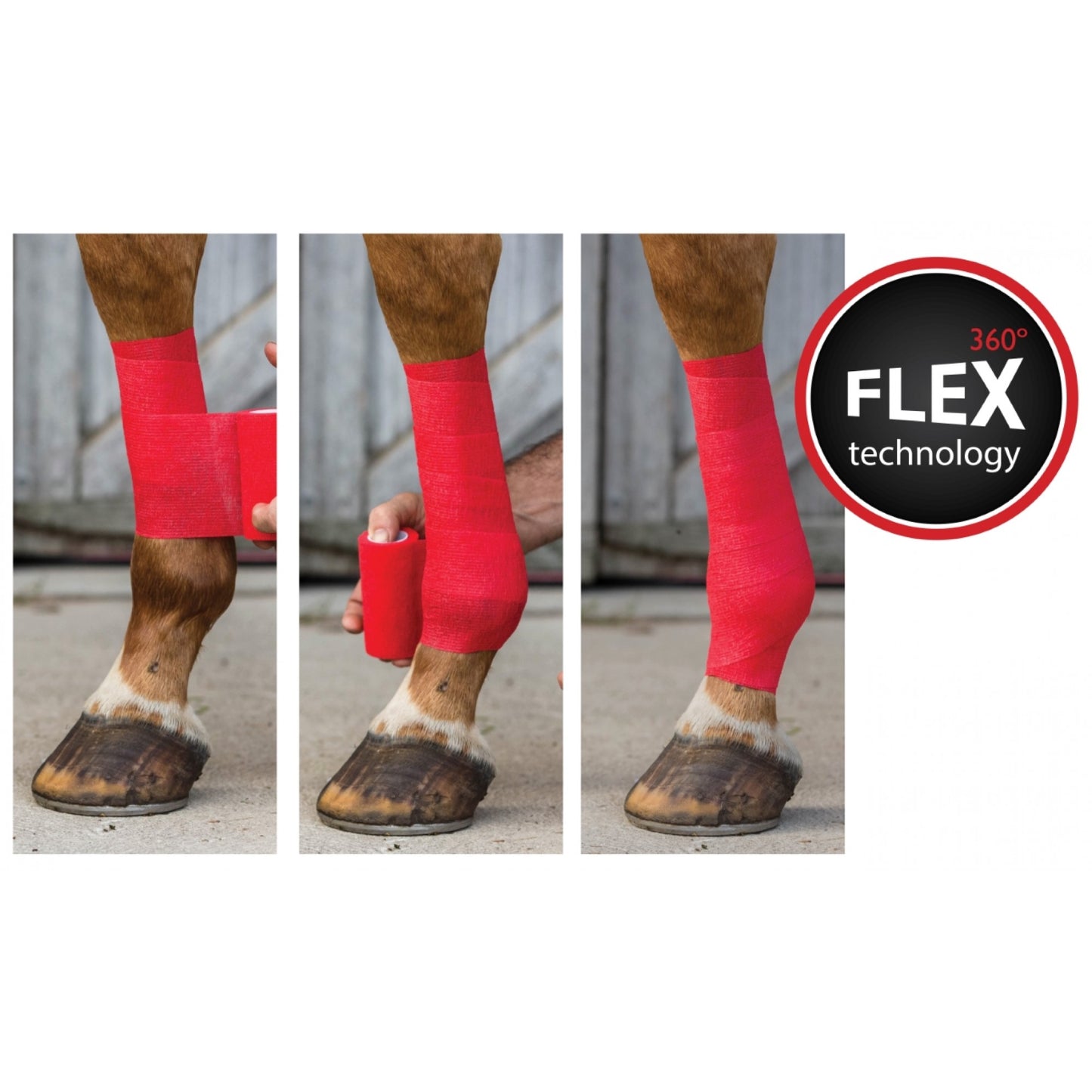 Bandage auto-adhésif Axis par Western Rawhide