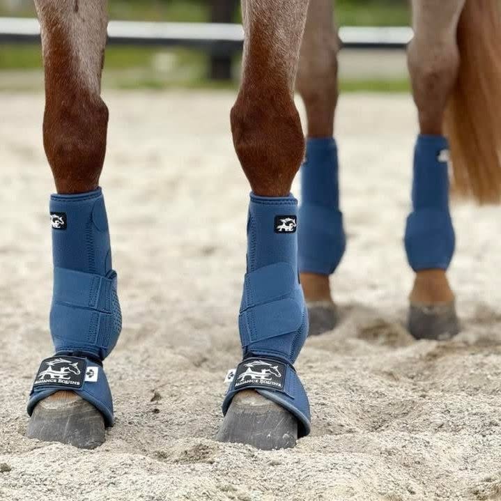 Guêtres Alliance Equine V20X