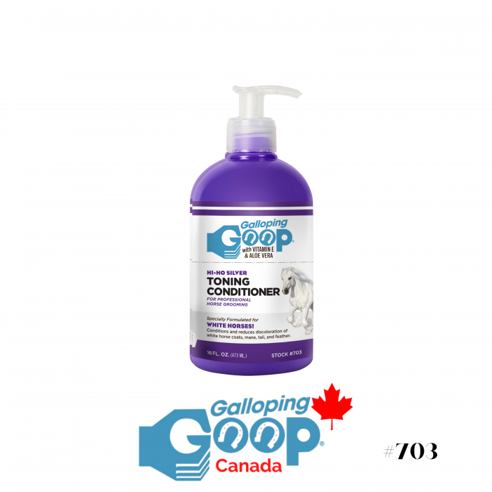 Revitalisant Hi-Ho Silver Galloping Goop