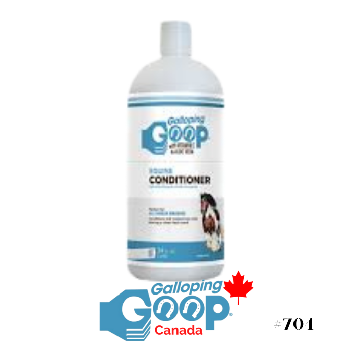 Revitalisant Hi Shine Galloping Goop