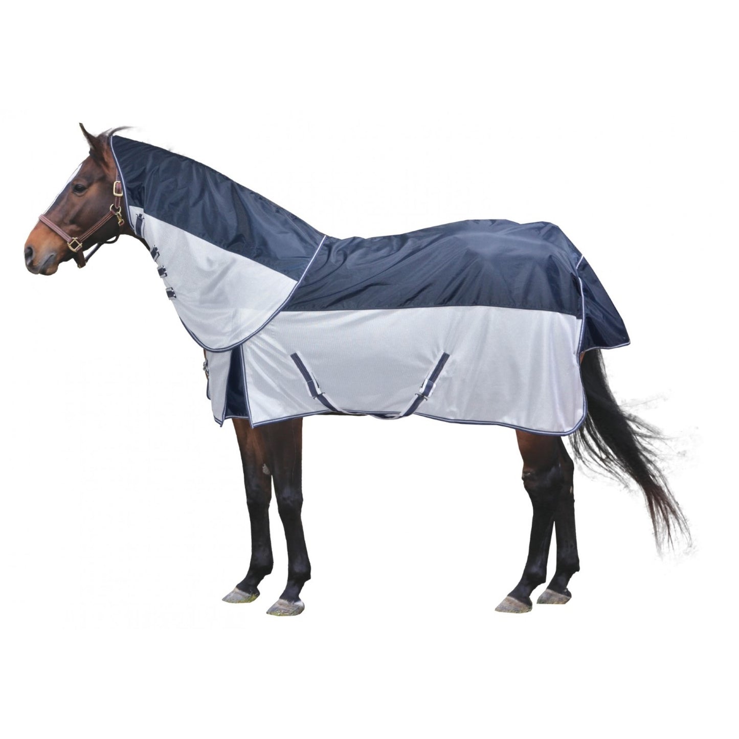 Century Fly/Rainsheet