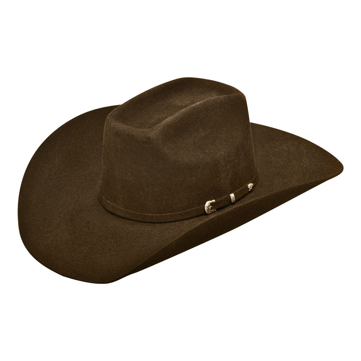 Chapeau Ariat 2X Wool – Modèle « Added Money »