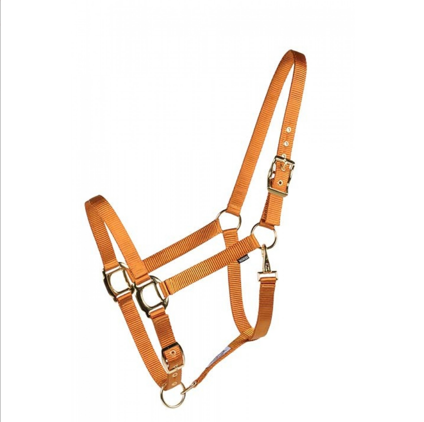 Licou Country Legend