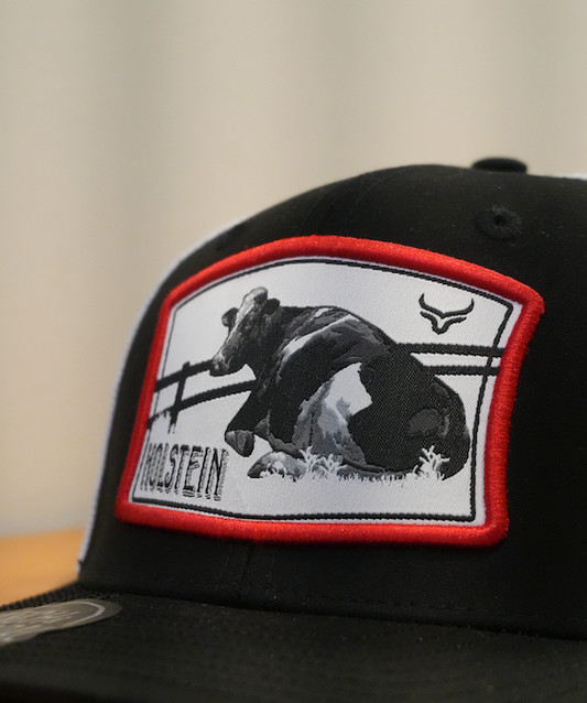 Casquette Ranch & Corral Holstein