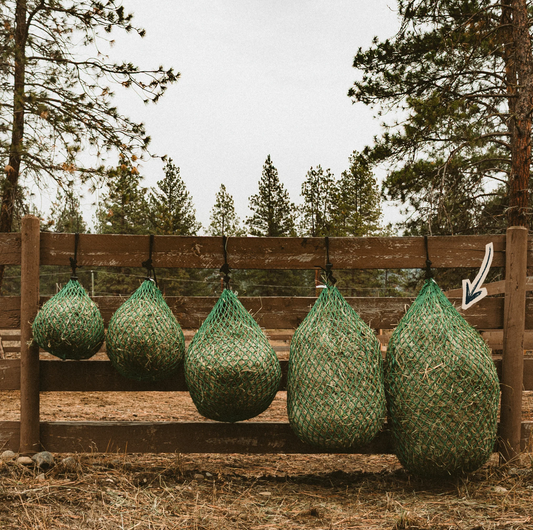 Nag Bags - Day