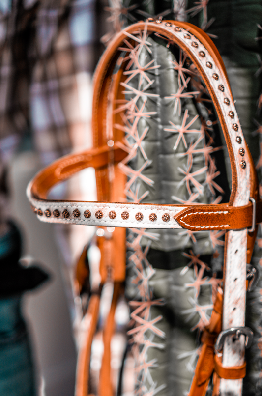 Bride frontale Country Legend Sundance Browband