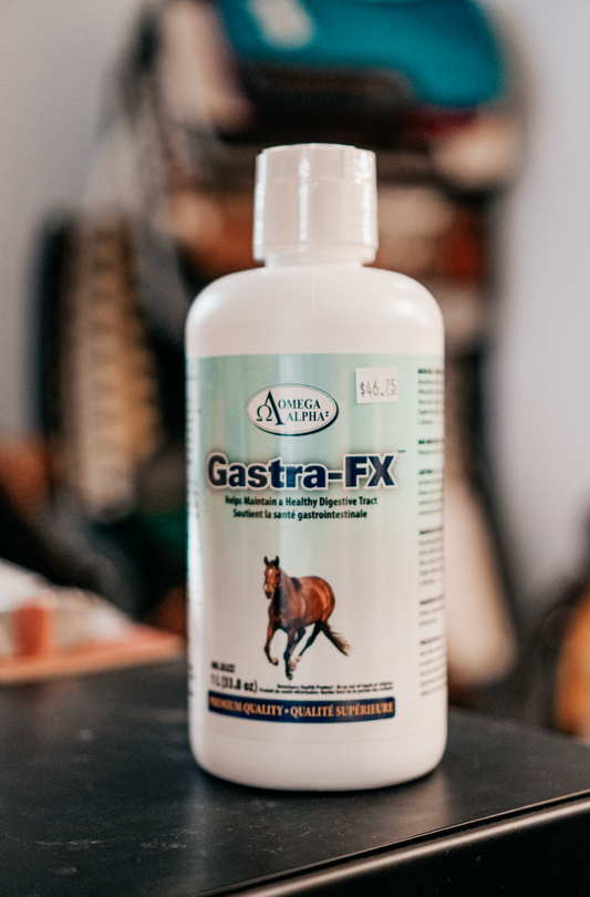 Gastra-FX Omega Alpha