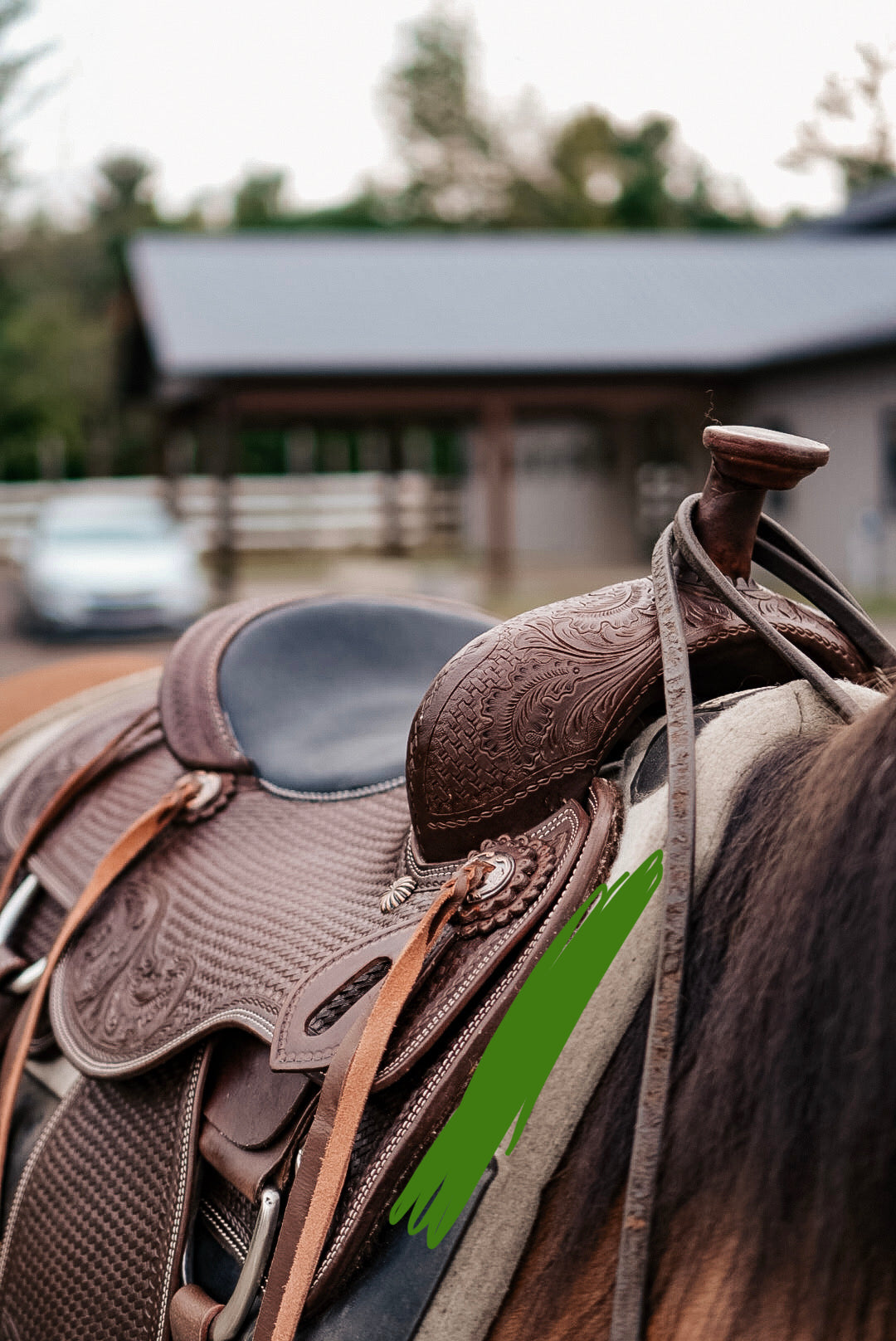 Selle de ranch all around Maygan