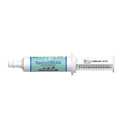 Equisel-BCAA en pâte 60ml Omega Alpha