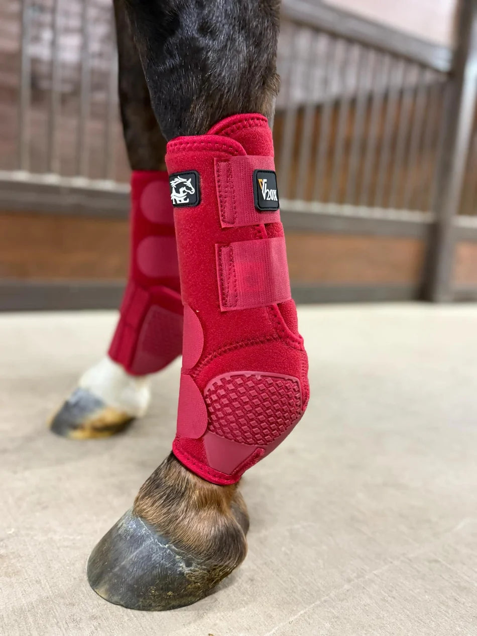 Guêtres Alliance Equine V20X