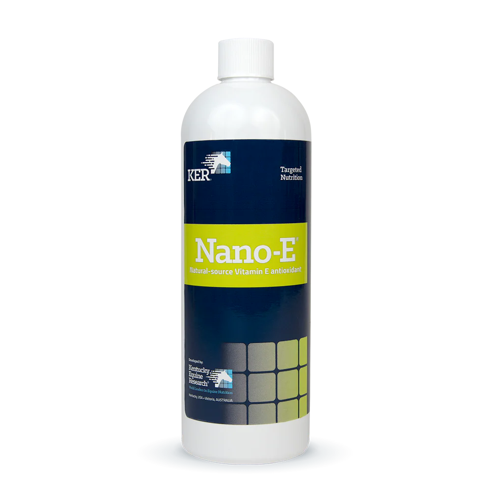Nano E