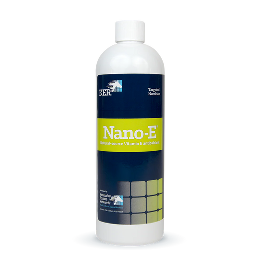 Nano E