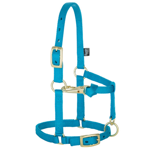 Licou pour mini 5/8''