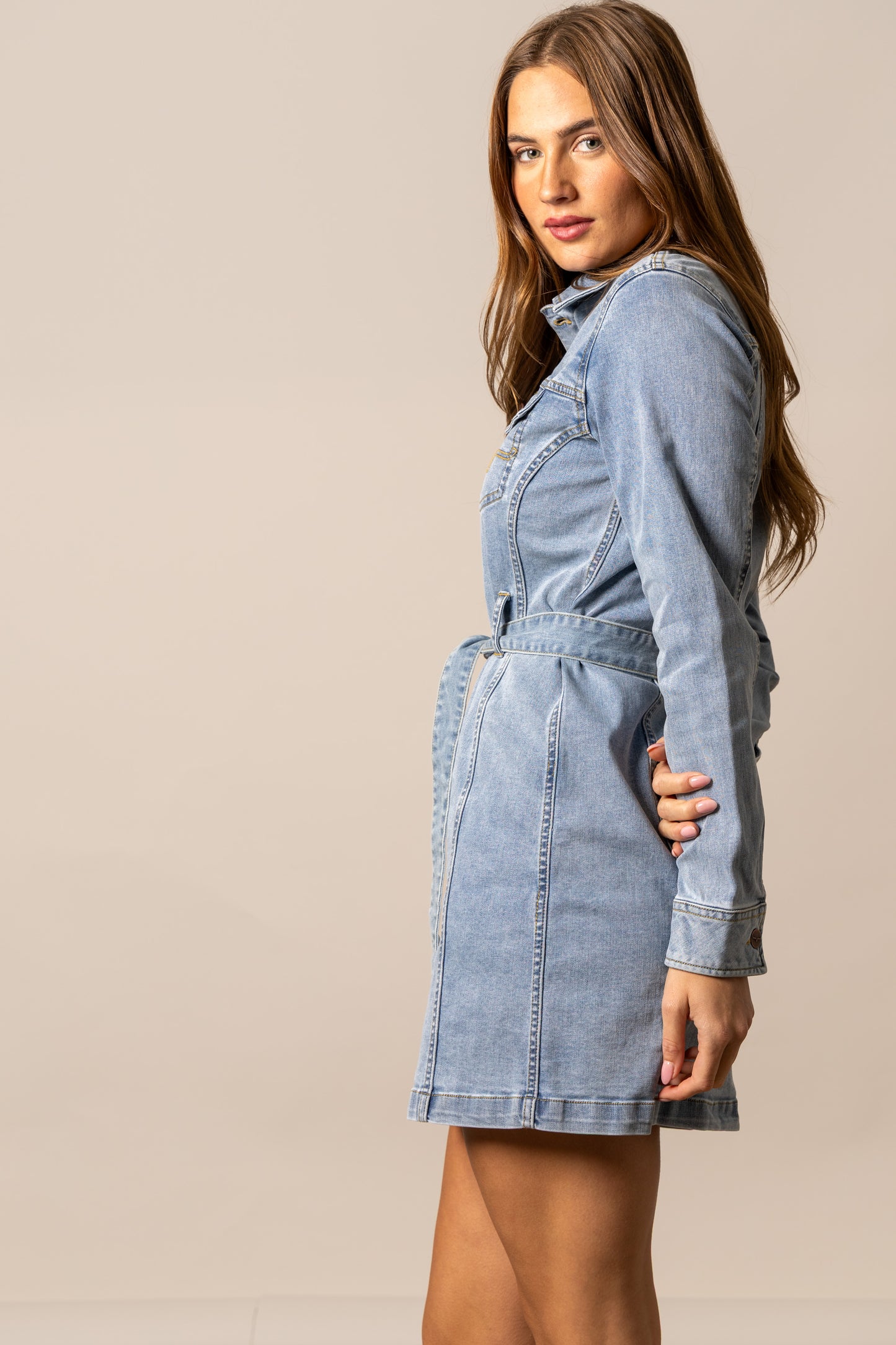 Robe Winslow Trucker Dress Kimes Ranch